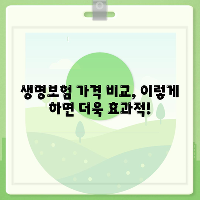 나에게 맞는 생명 보험, 가격 비교는 이렇게! | 생명 보험료, 보장 분석, 추천