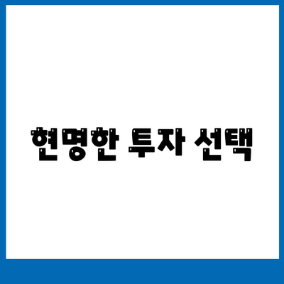 현명한 투자 선택