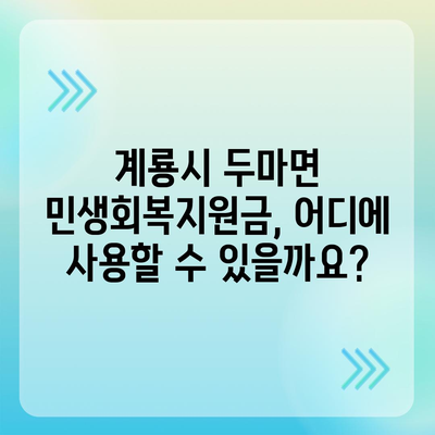 충청남도 계룡시 두마면 민생회복지원금 | 신청 | 신청방법 | 대상 | 지급일 | 사용처 | 전국민 | 이재명 | 2024