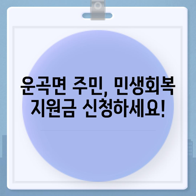 충청남도 청양군 운곡면 민생회복지원금 | 신청 | 신청방법 | 대상 | 지급일 | 사용처 | 전국민 | 이재명 | 2024