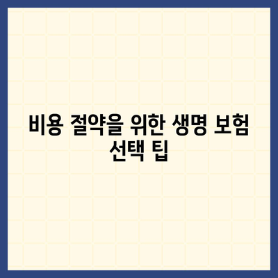 생명 보험 비교 사이트