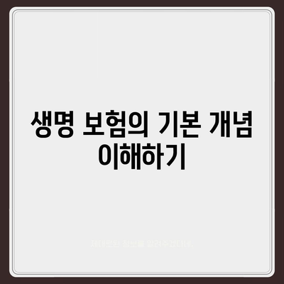 생명 보험사 비교| 최적의 선택을 위한 5가지 팁 | 생명 보험, 보험사, 비교 가이드