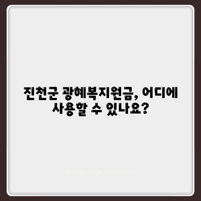 충청북도 진천군 광혜원면 민생회복지원금 | 신청 | 신청방법 | 대상 | 지급일 | 사용처 | 전국민 | 이재명 | 2024