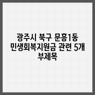 광주시 북구 문흥1동 민생회복지원금 | 신청 | 신청방법 | 대상 | 지급일 | 사용처 | 전국민 | 이재명 | 2024