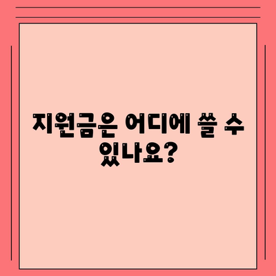 대전시 중구 산성동 민생회복지원금 | 신청 | 신청방법 | 대상 | 지급일 | 사용처 | 전국민 | 이재명 | 2024