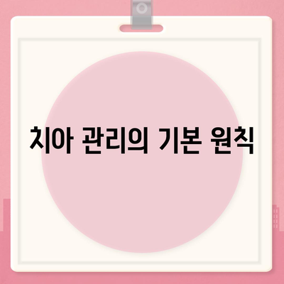 치아 보험과 임플란트의 필요성에 대한 완벽 가이드 | 치아 관리, 보험 혜택, 임플란트 비용