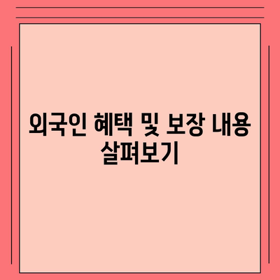 외국인을 위한 암 보험 가입 순위 및 혜택 가이드 | 암 보험, 외국인 대상, 보장 내용 분석