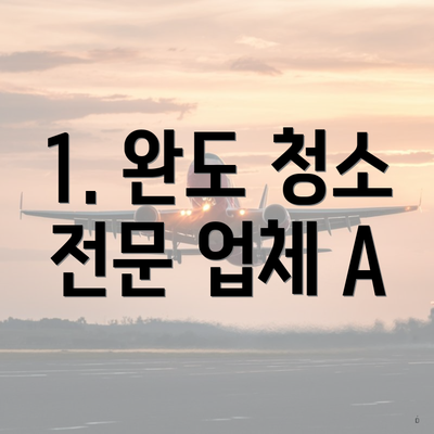 1. 완도 청소 전문 업체 A