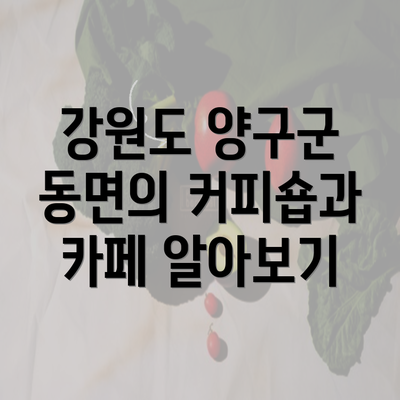 강원도 양구군 동면의 커피숍과 카페 알아보기