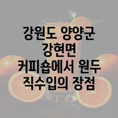 강원도 양양군 강현면 커피숍에서 원두 직수입의 장점