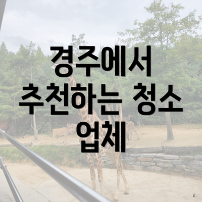 경주에서 추천하는 청소 업체