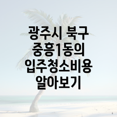 광주시 북구 중흥1동의 입주청소비용 알아보기