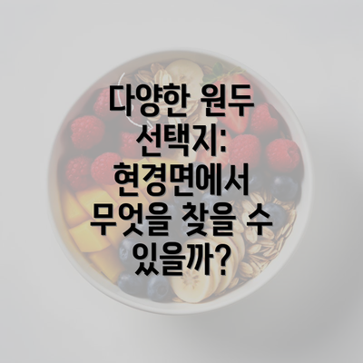 다양한 원두 선택지: 현경면에서 무엇을 찾을 수 있을까?