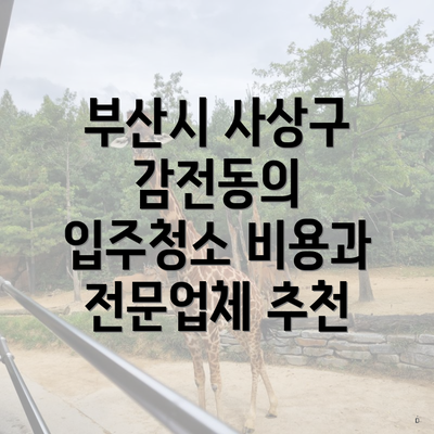 부산시 사상구 감전동의 입주청소 비용과 전문업체 추천