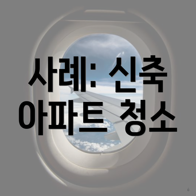 사례: 신축 아파트 청소