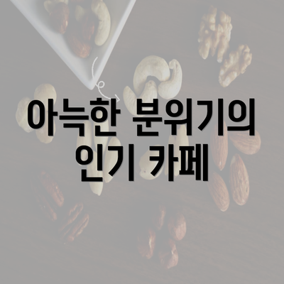 아늑한 분위기의 인기 카페