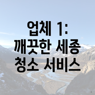 업체 1: 깨끗한 세종 청소 서비스