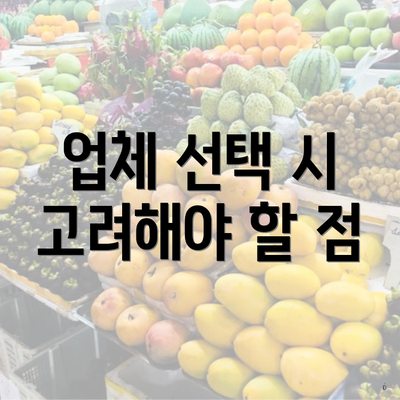 업체 선택 시 고려해야 할 점