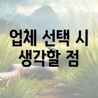 업체 선택 시 생각할 점