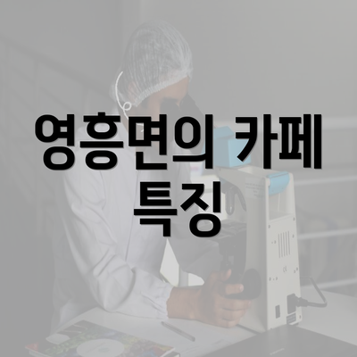 영흥면의 카페 특징