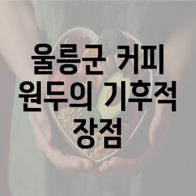 울릉군 커피 원두의 기후적 장점