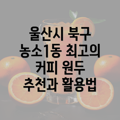 울산시 북구 농소1동 최고의 커피 원두 추천과 활용법