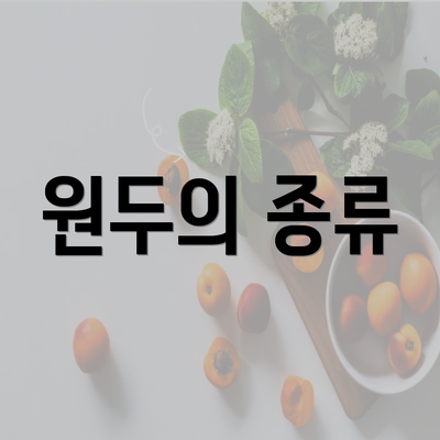 원두의 종류