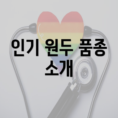 인기 원두 품종 소개