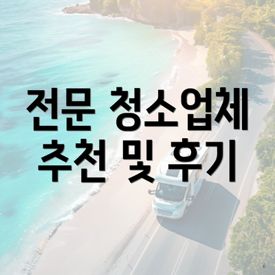 전문 청소업체 추천 및 후기