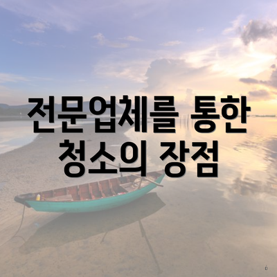 전문업체를 통한 청소의 장점