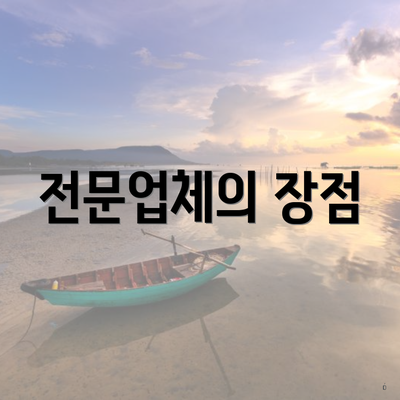 전문업체의 장점