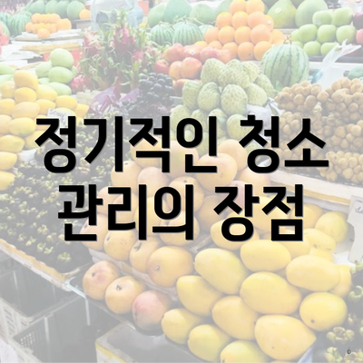 정기적인 청소 관리의 장점