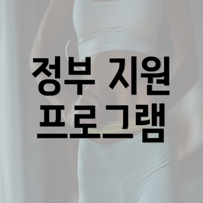 정부 지원 프로그램