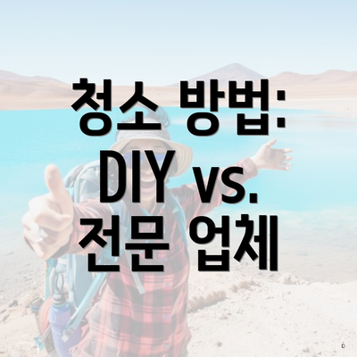 청소 방법: DIY vs. 전문 업체