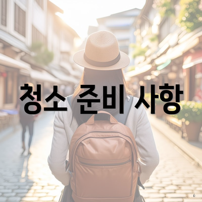 청소 준비 사항