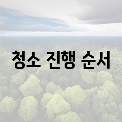 청소 진행 순서