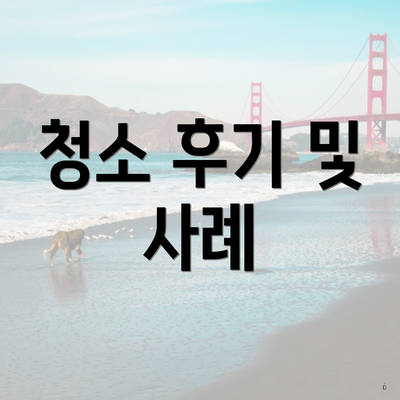 청소 후기 및 사례