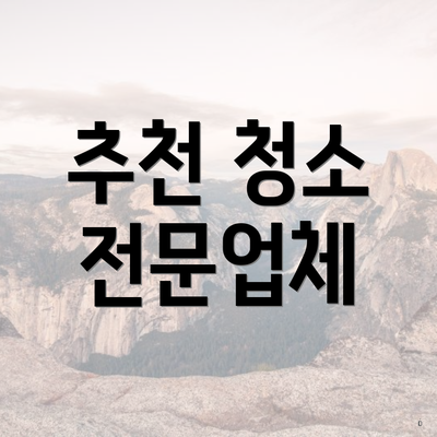 추천 청소 전문업체