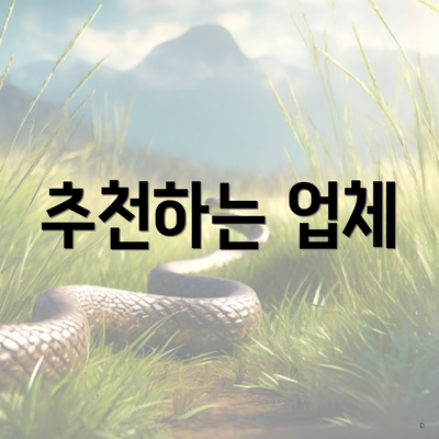 추천하는 업체