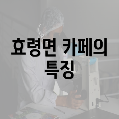 효령면 카페의 특징