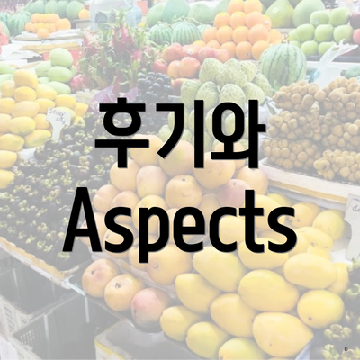 후기와 Aspects