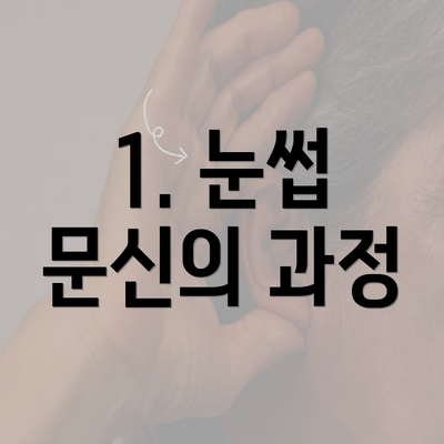 1. 눈썹 문신의 과정