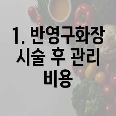 1. 반영구화장 시술 후 관리 비용