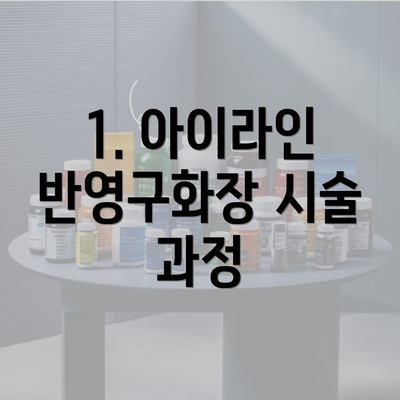 1. 아이라인 반영구화장 시술 과정