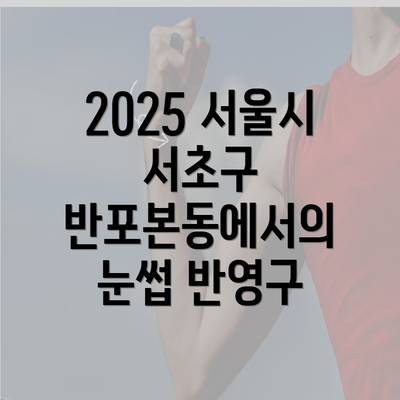 2025 서울시 서초구 반포본동에서의 눈썹 반영구