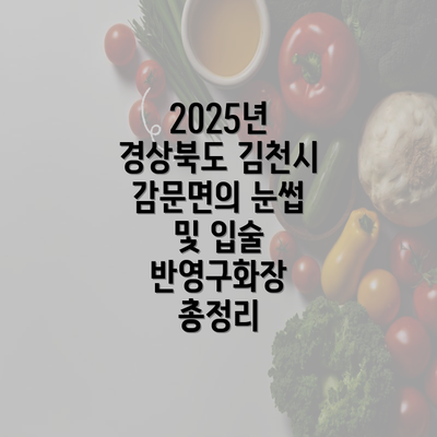 2025년 경상북도 김천시 감문면의 눈썹 및 입술 반영구화장 총정리