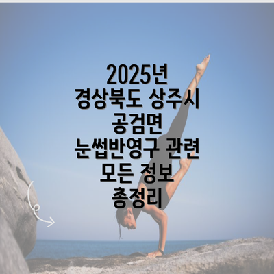 2025년 경상북도 상주시 공검면 눈썹반영구 관련 모든 정보 총정리