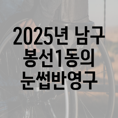 2025년 남구 봉선1동의 눈썹반영구