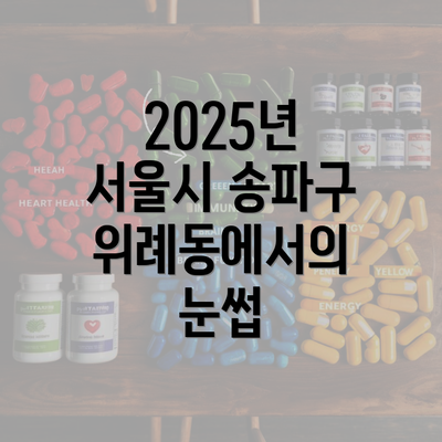 2025년 서울시 송파구 위례동에서의 눈썹