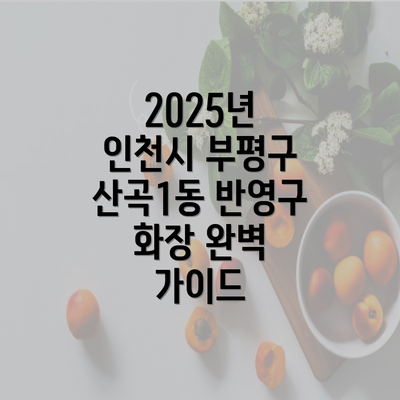 2025년 인천시 부평구 산곡1동 반영구 화장 완벽 가이드